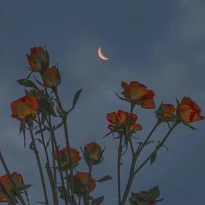 日本淫荡男女站立
