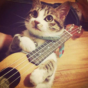 日本淫荡男女站立
